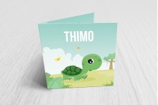 Lief schildpadje Lief schildpadje